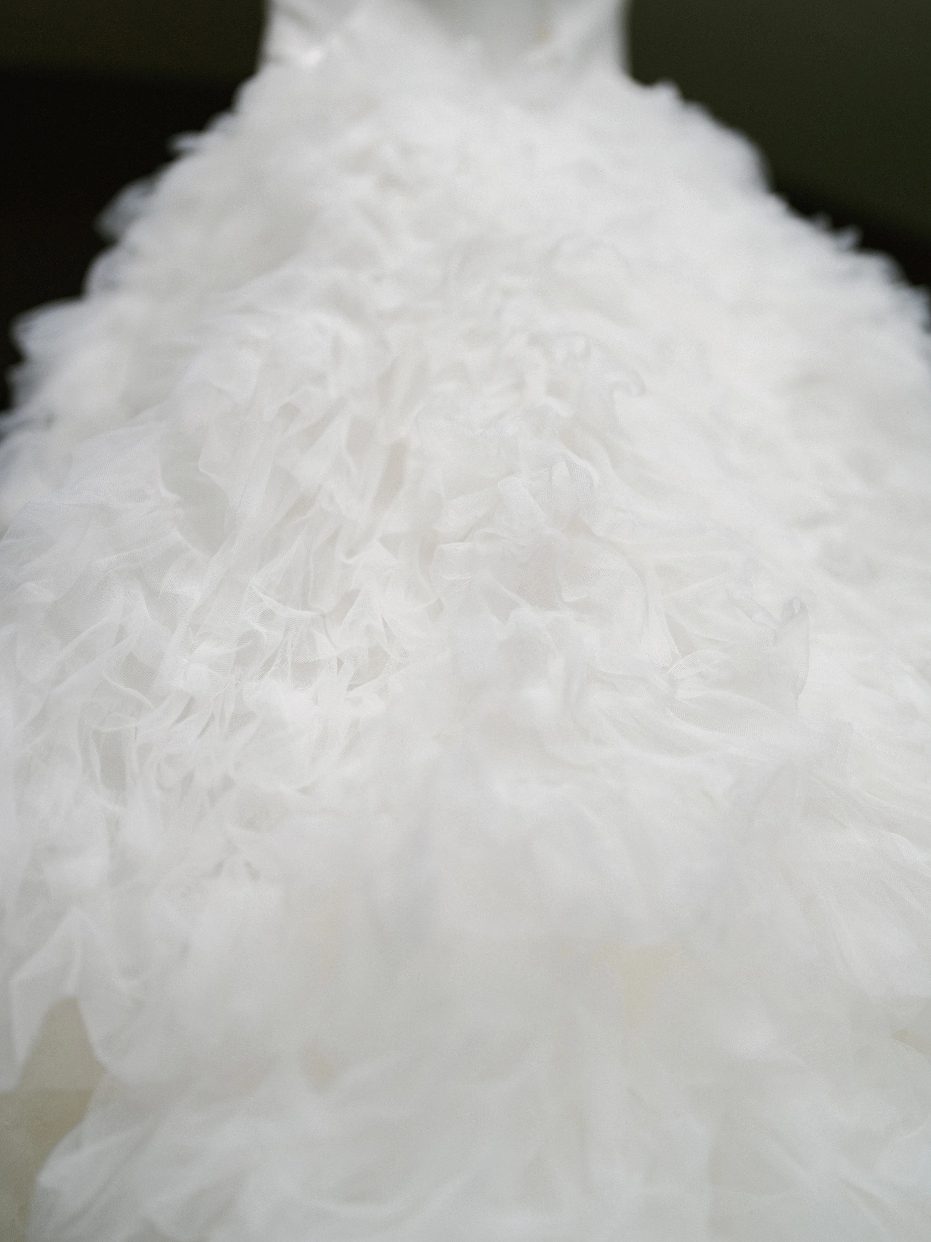 Arghavan & Sam — Wedding