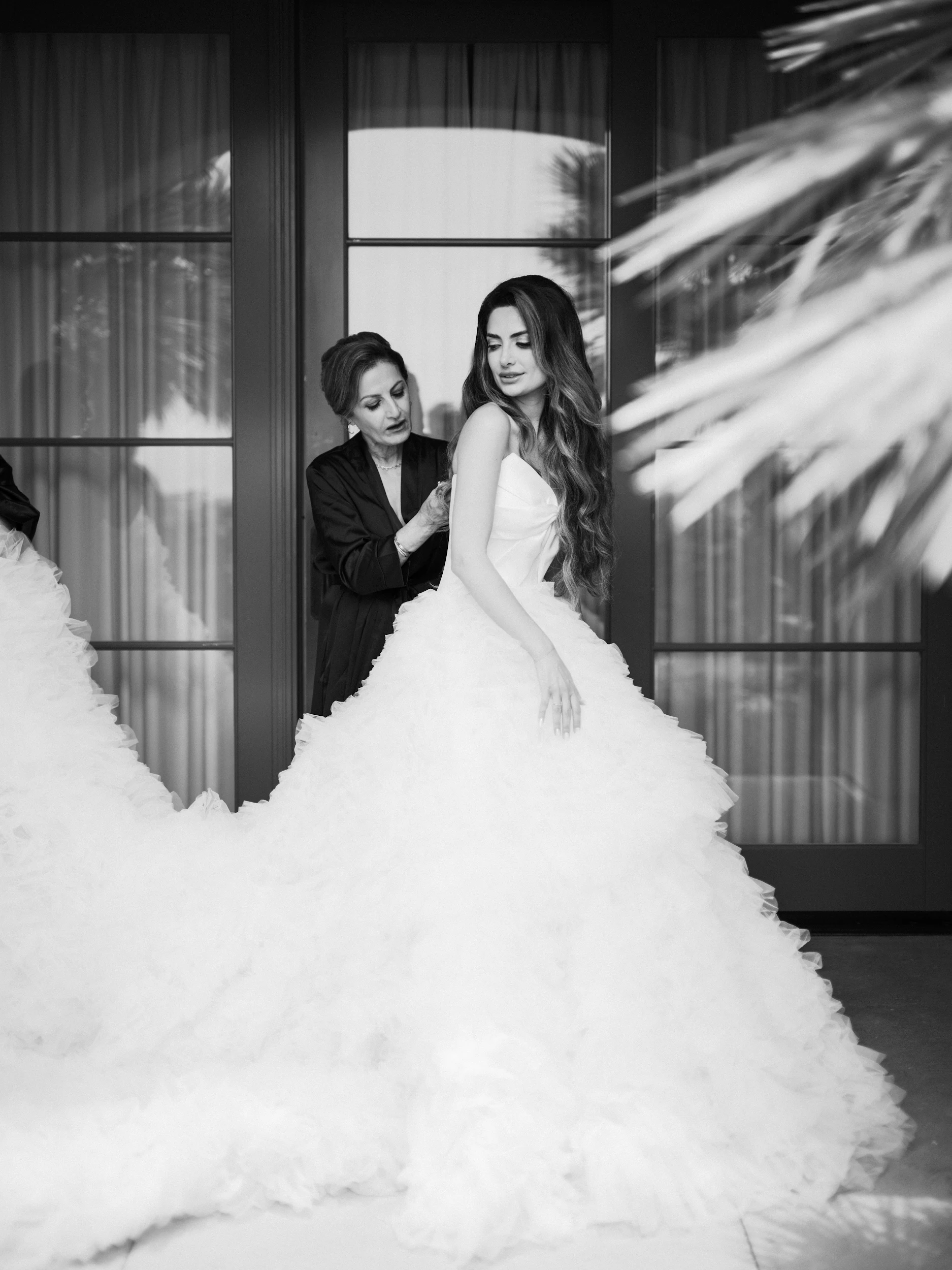 Arghavan & Sam — Wedding