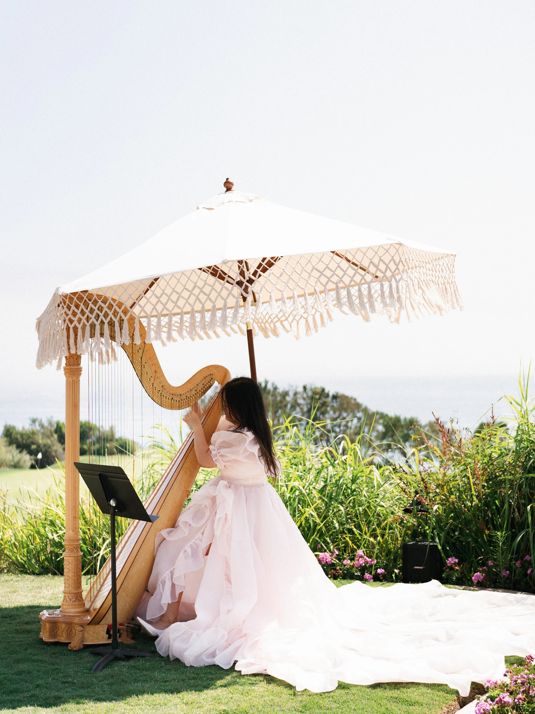 Arghavan & Sam — Wedding