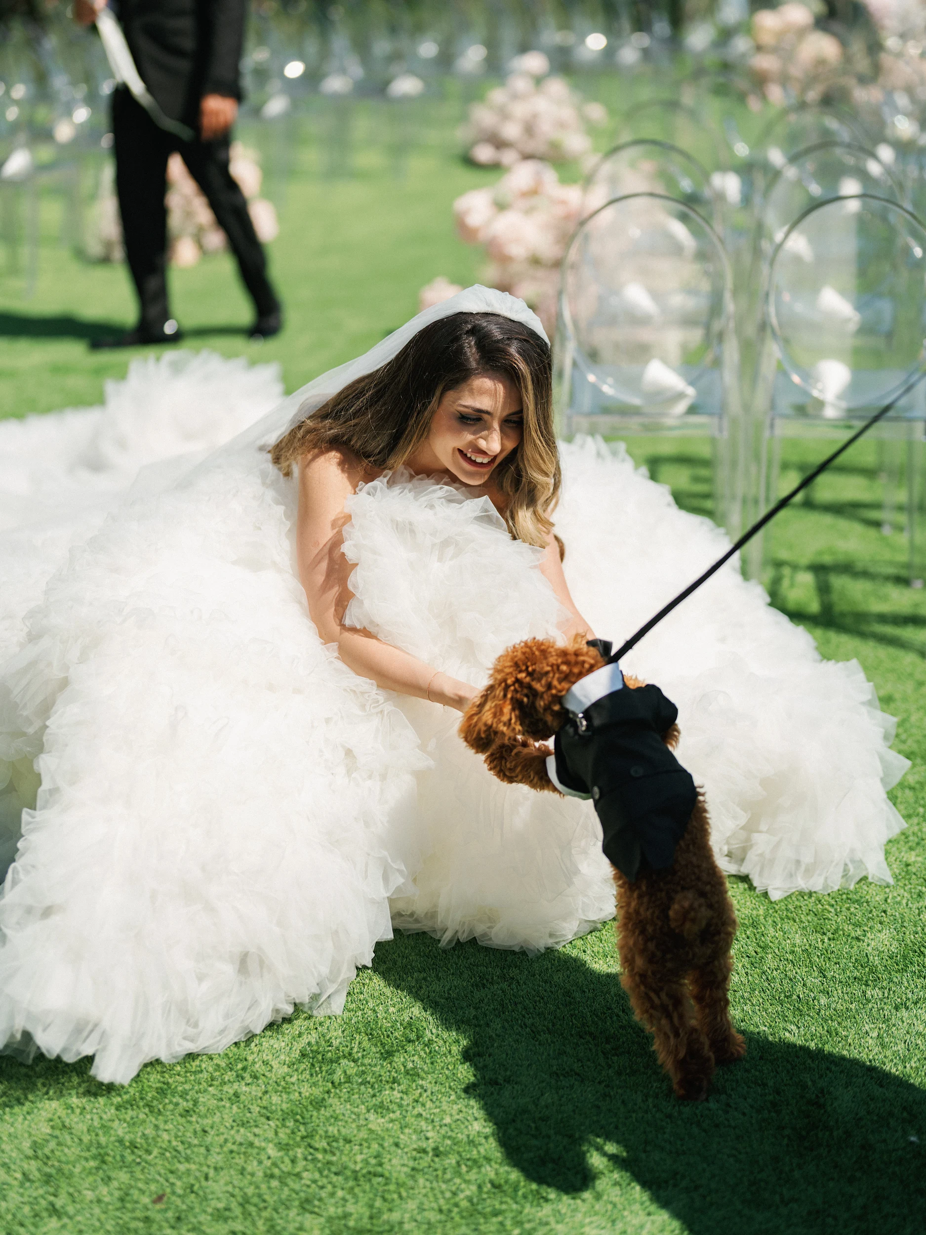 Arghavan & Sam — Wedding