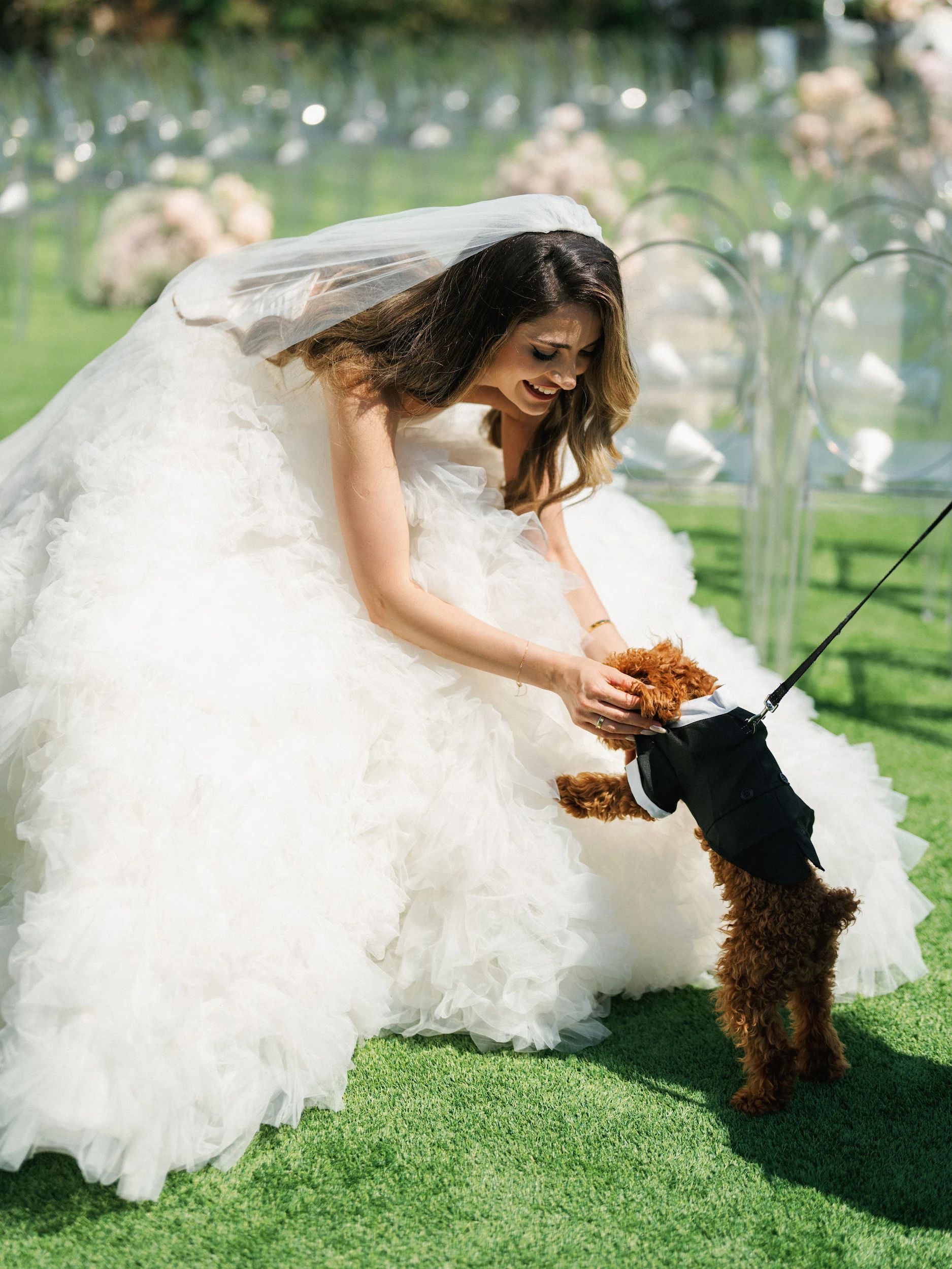 Arghavan & Sam — Wedding