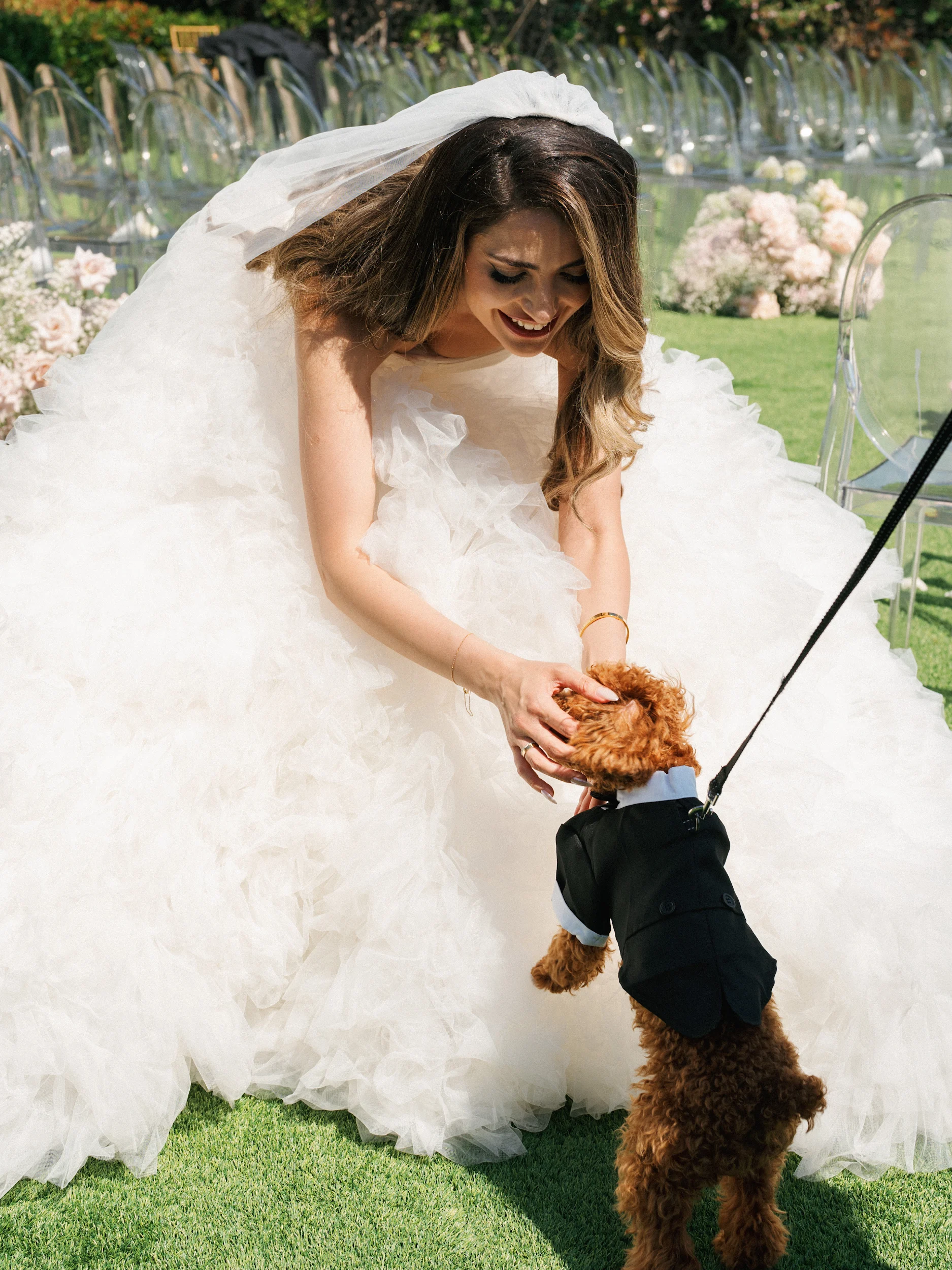 Arghavan & Sam — Wedding