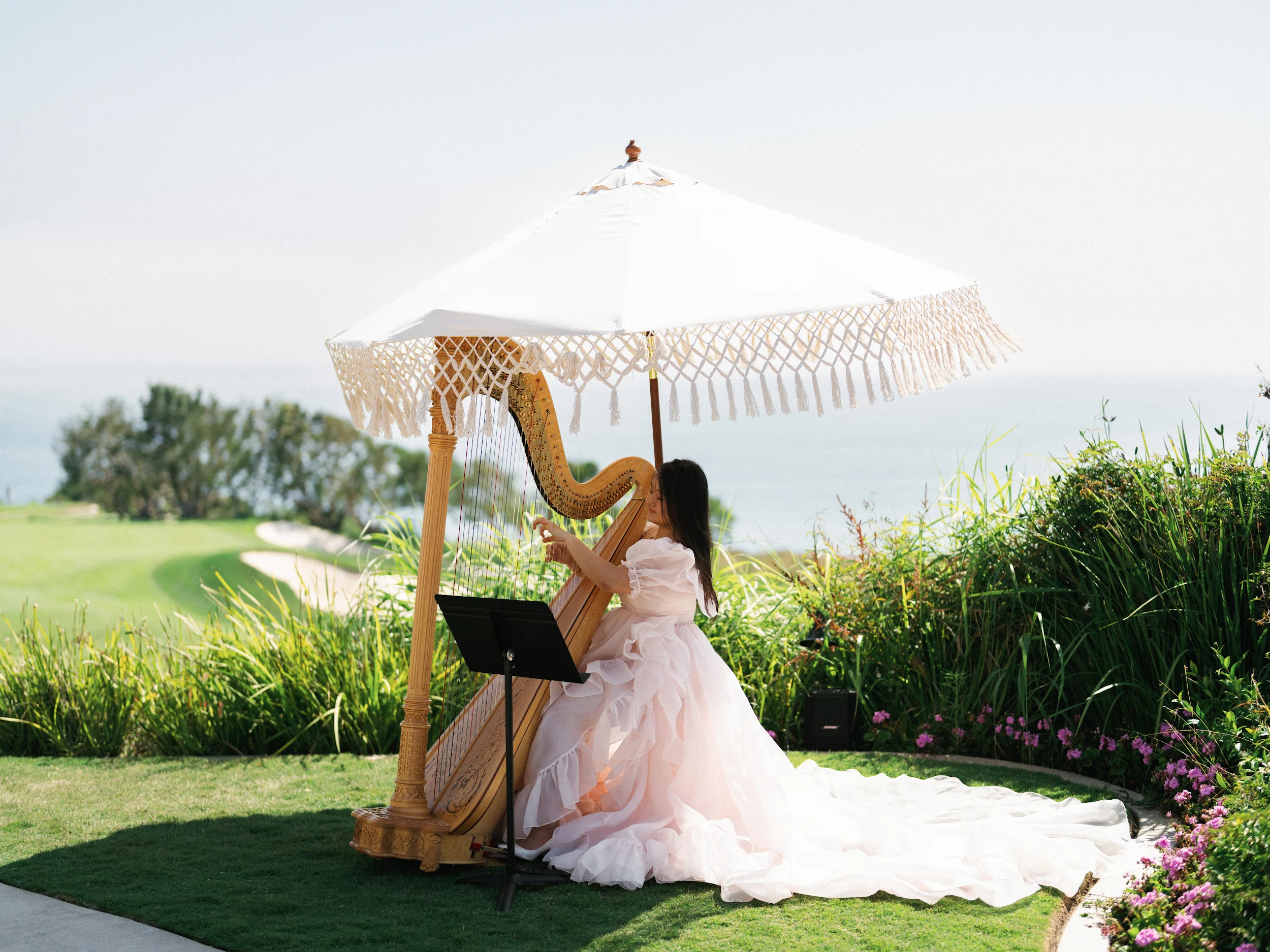 Arghavan & Sam — Wedding