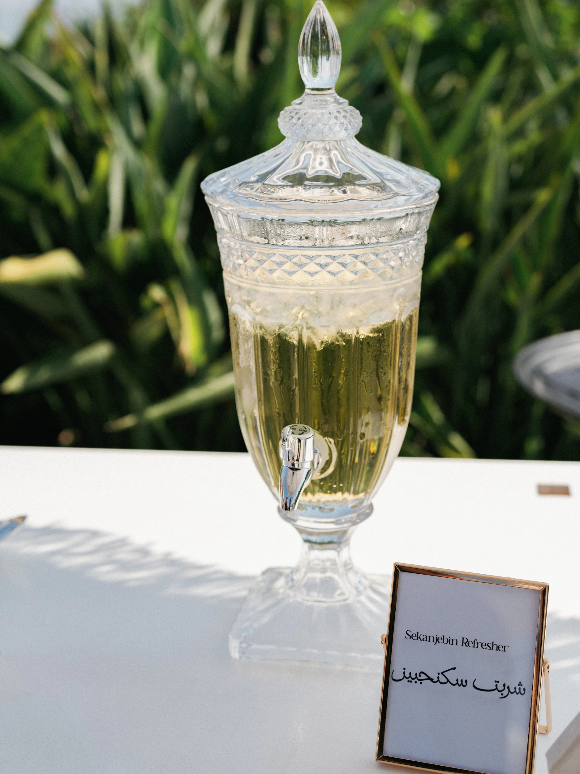 Arghavan & Sam — Wedding