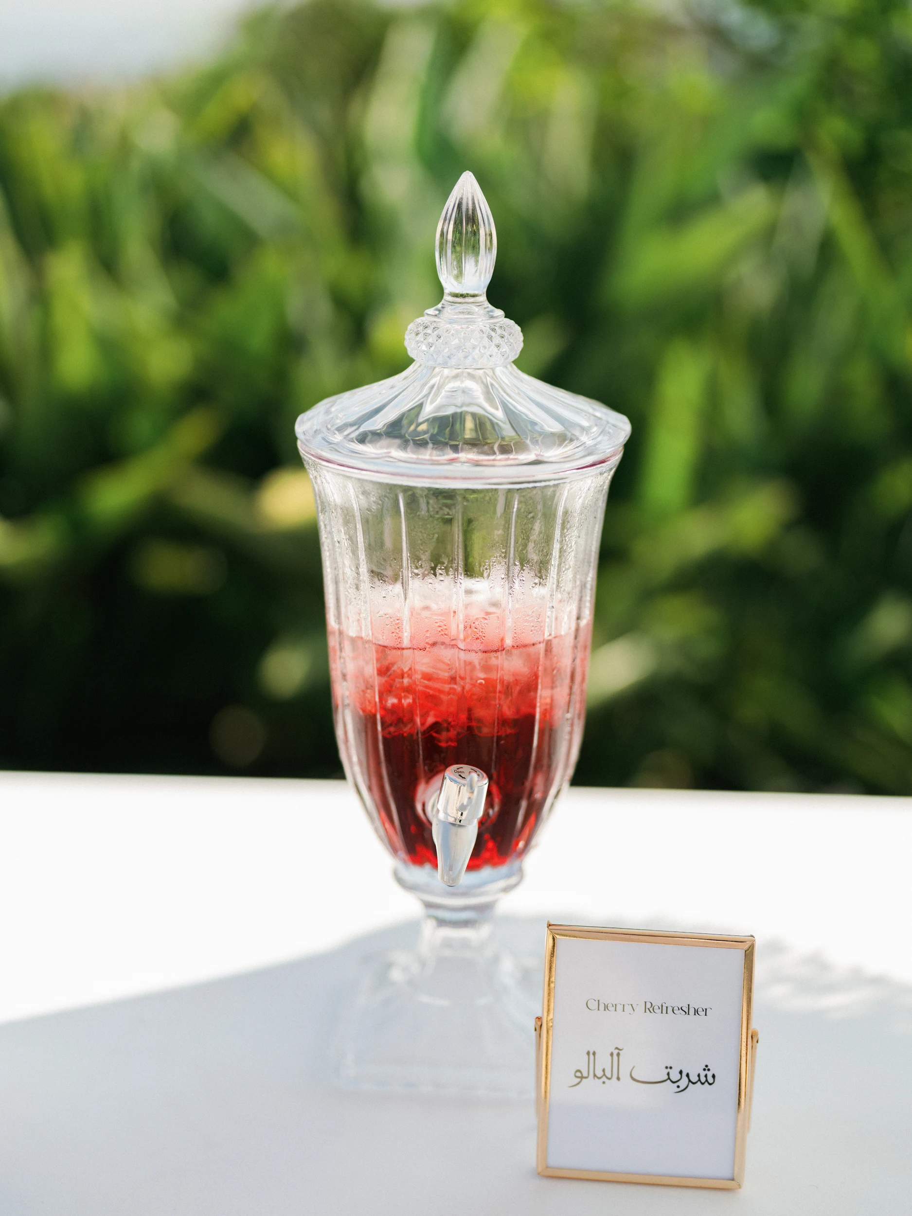 Arghavan & Sam — Wedding