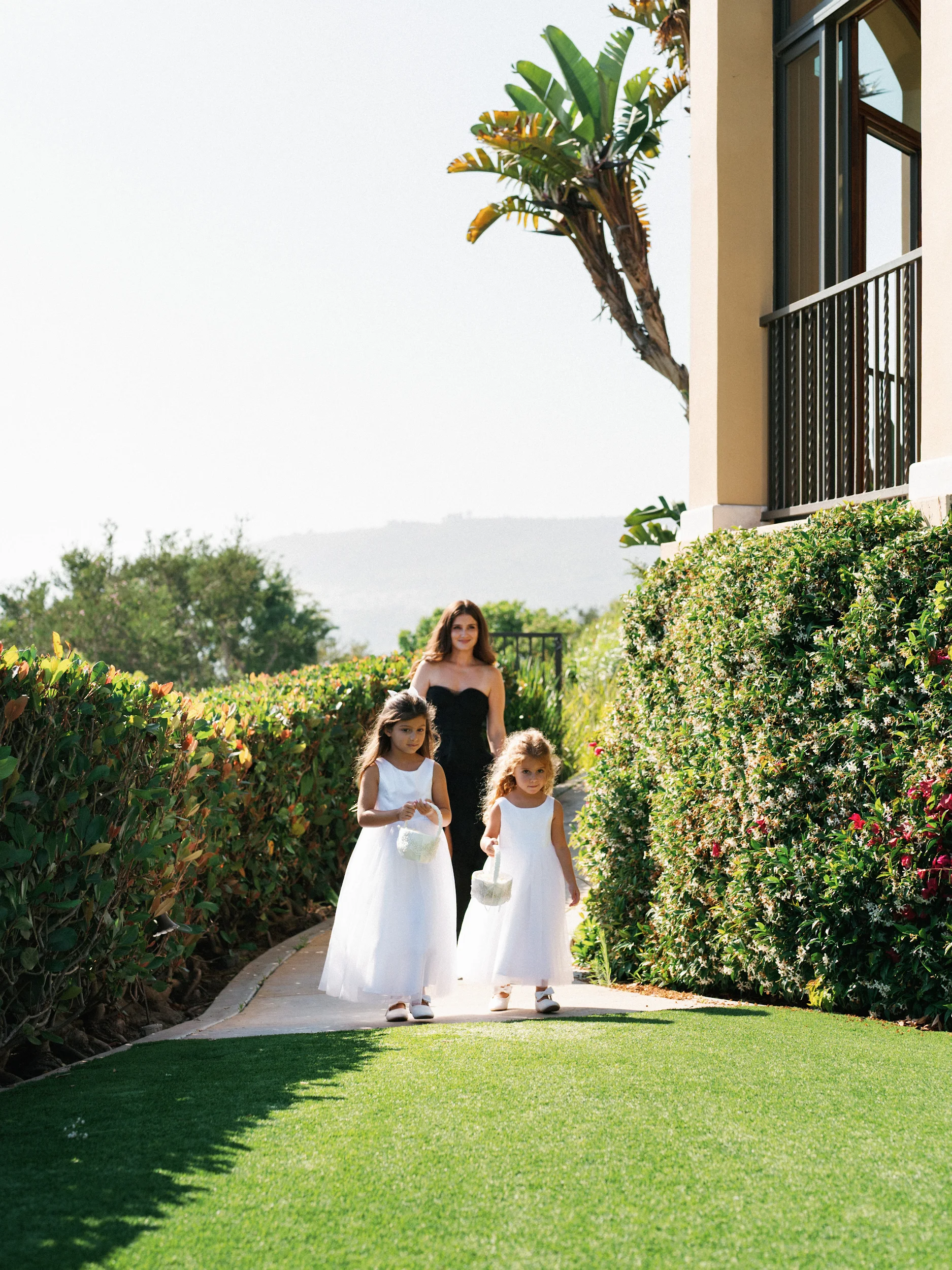 Arghavan & Sam — Wedding