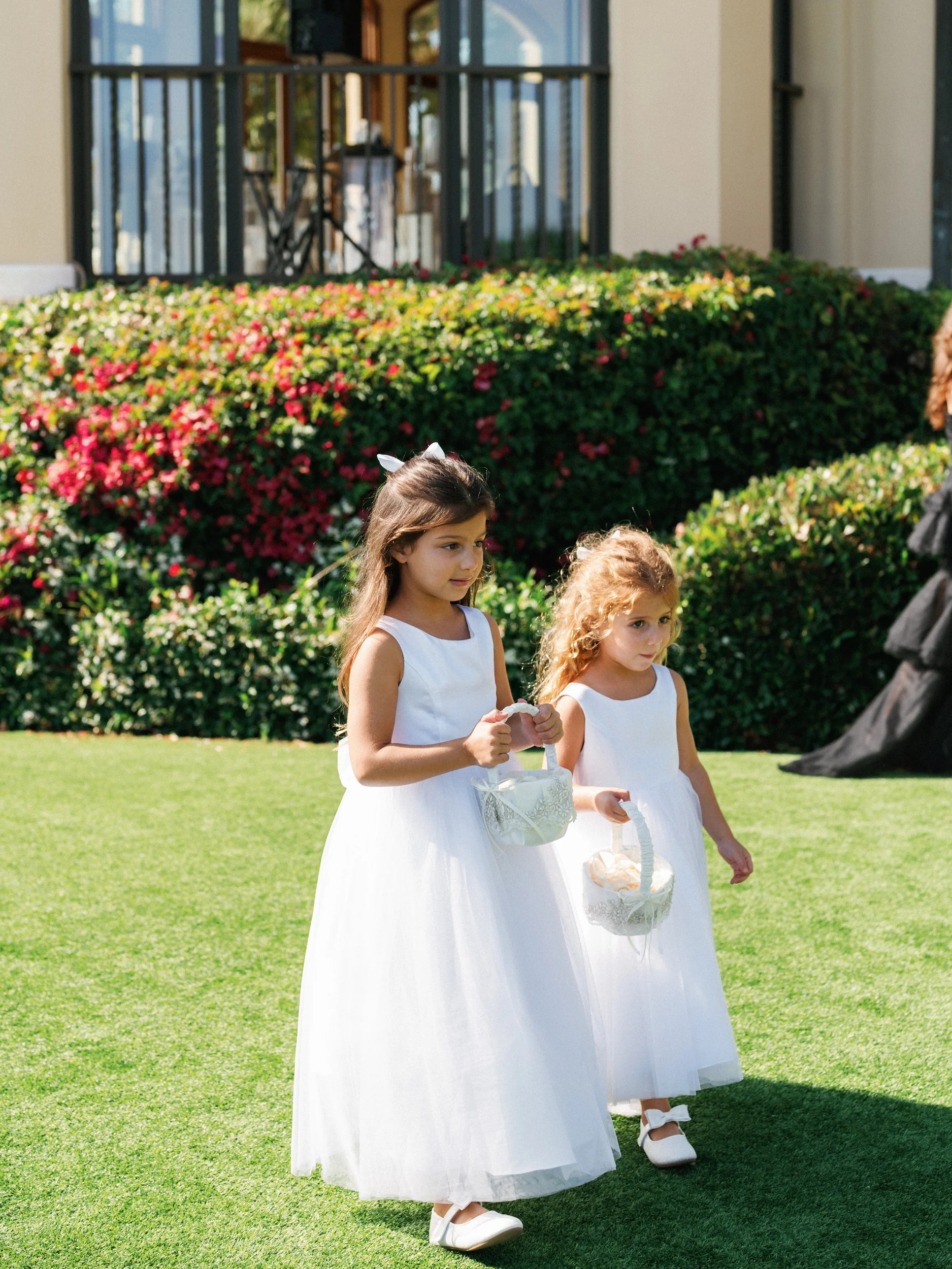Arghavan & Sam — Wedding