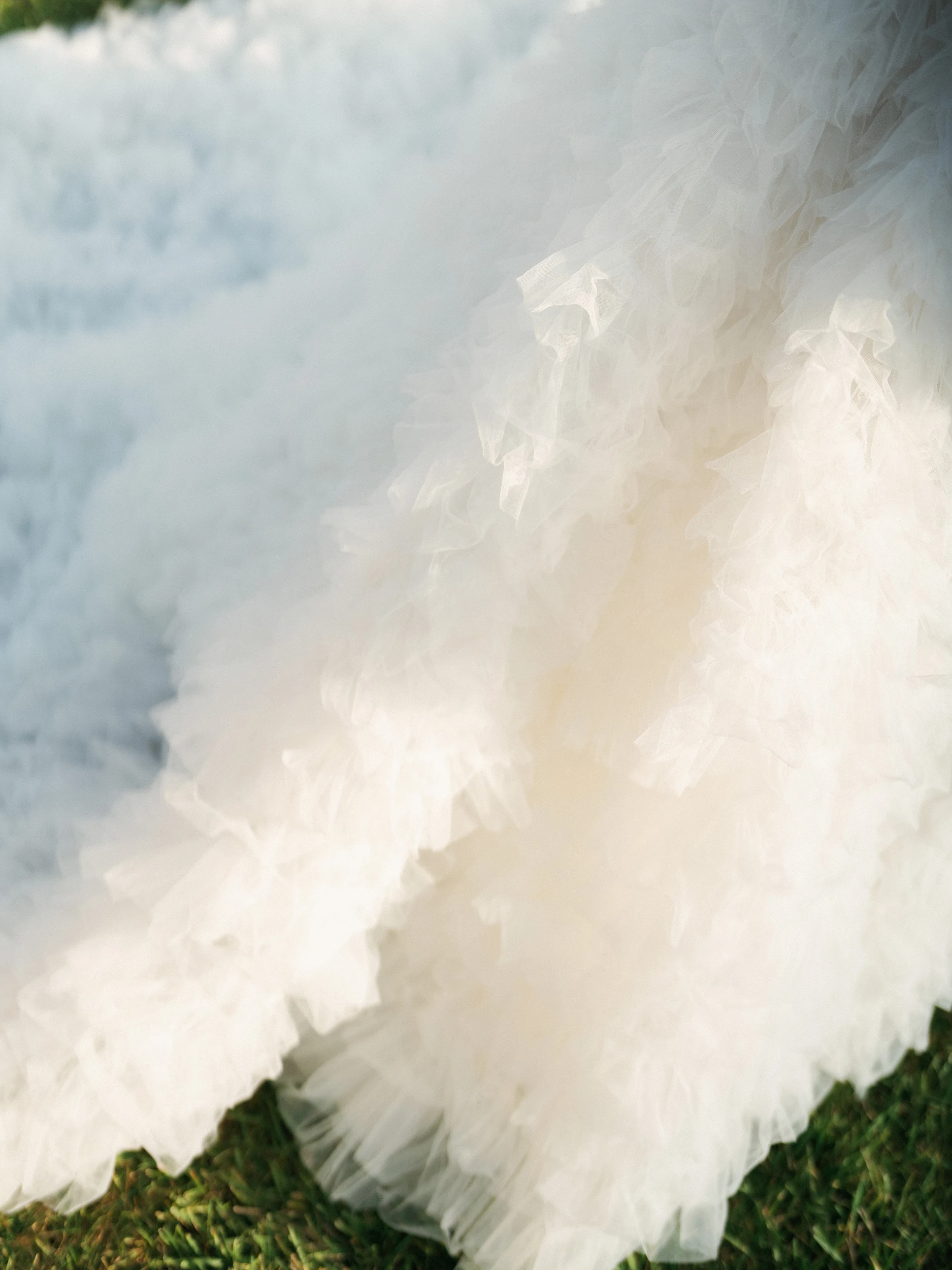 Arghavan & Sam — Wedding