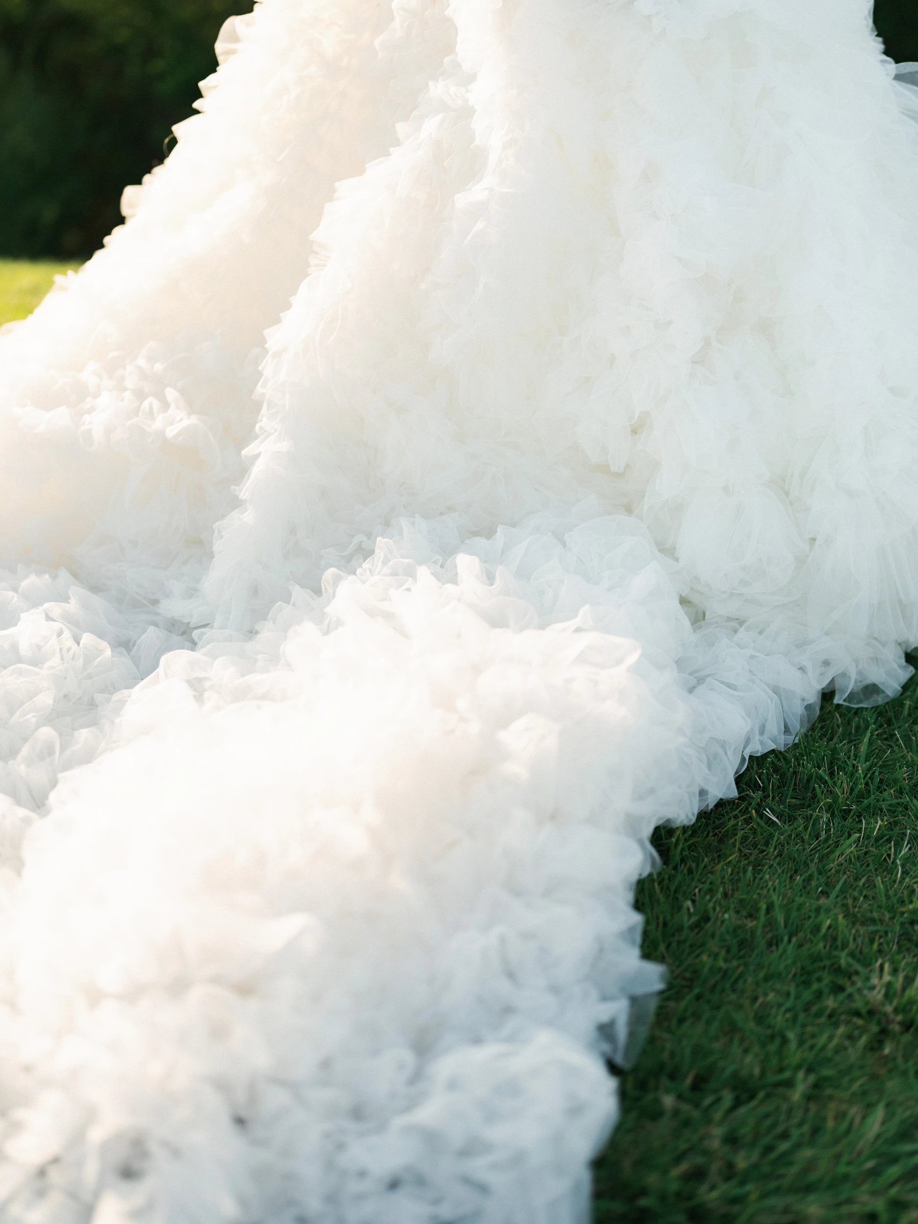 Arghavan & Sam — Wedding
