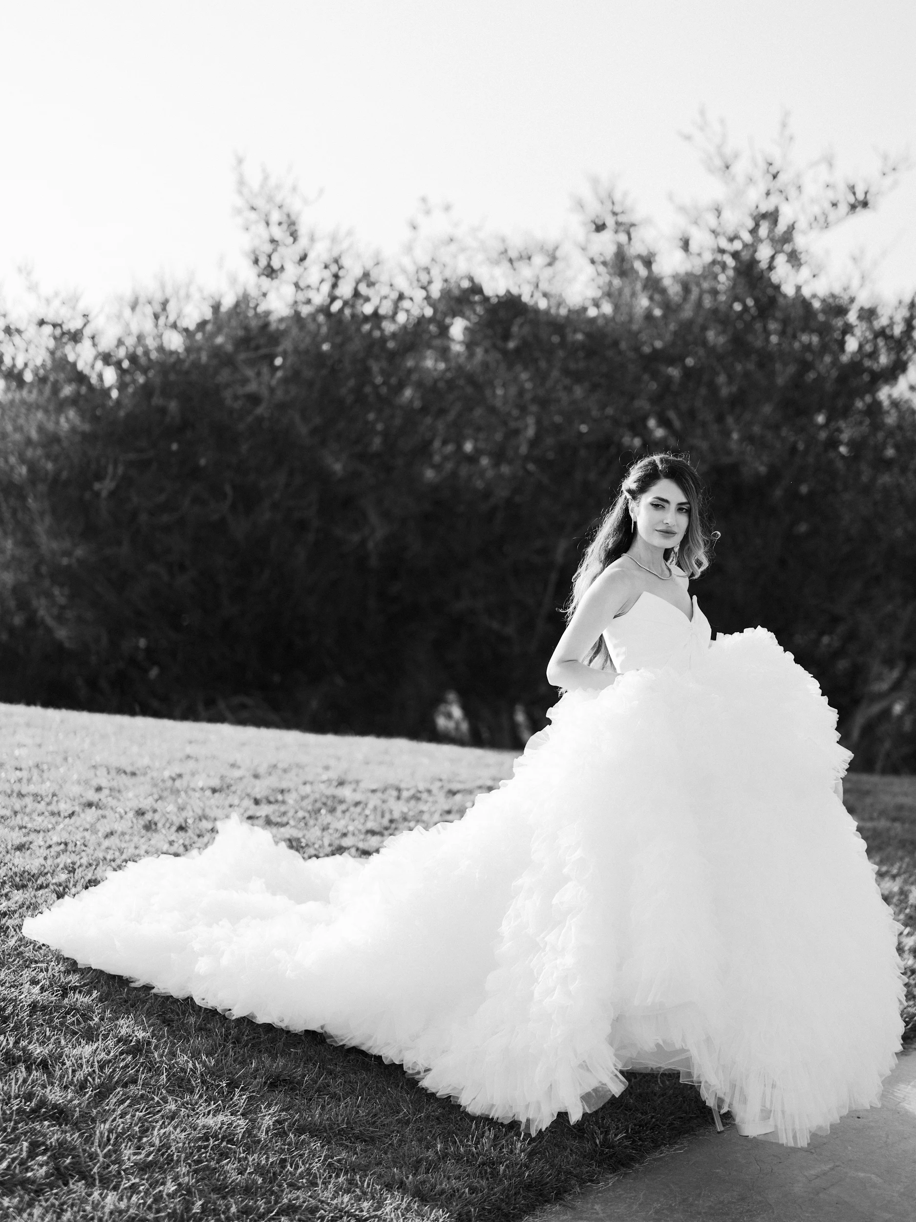 Arghavan & Sam — Wedding