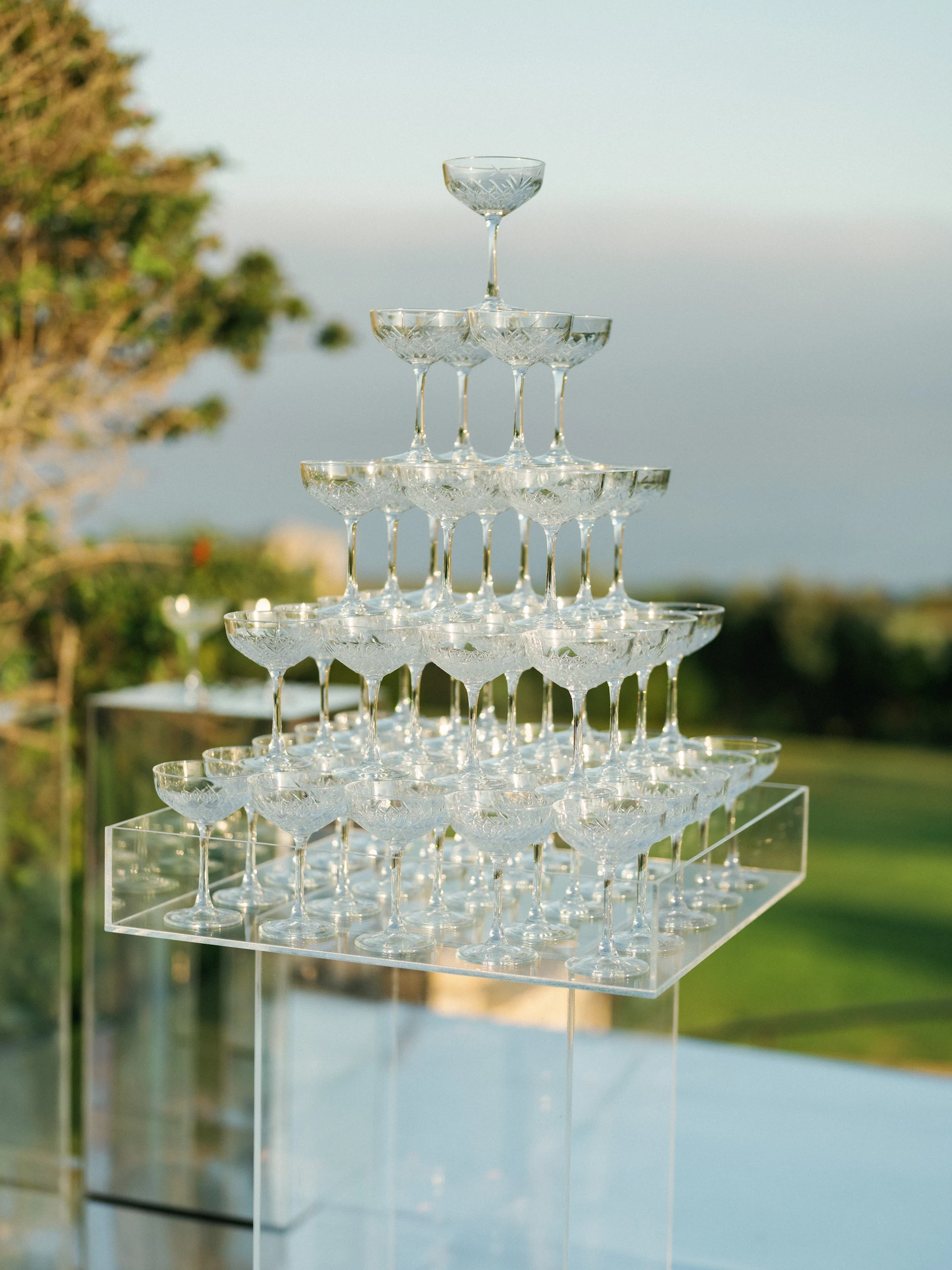 Arghavan & Sam — Wedding