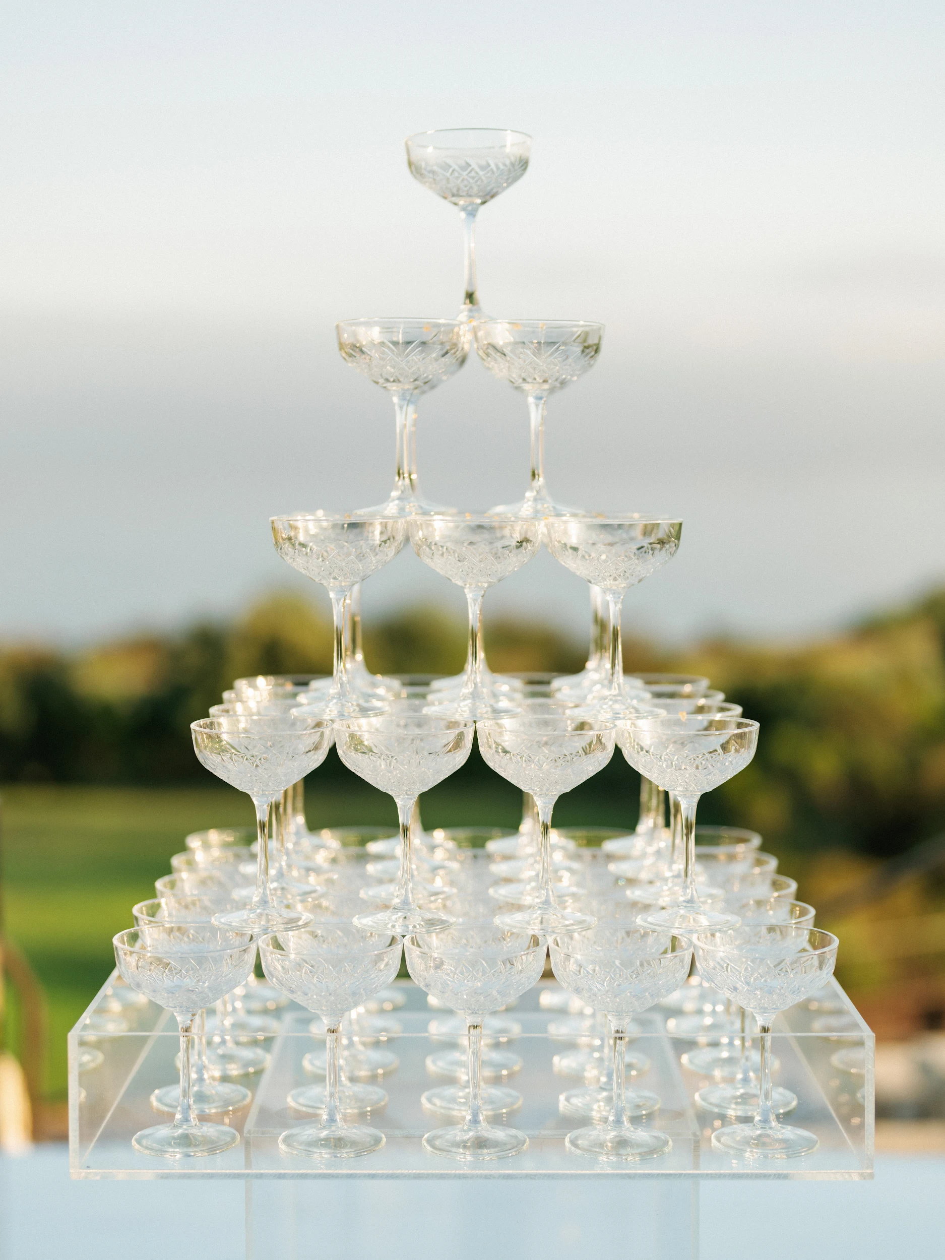 Arghavan & Sam — Wedding