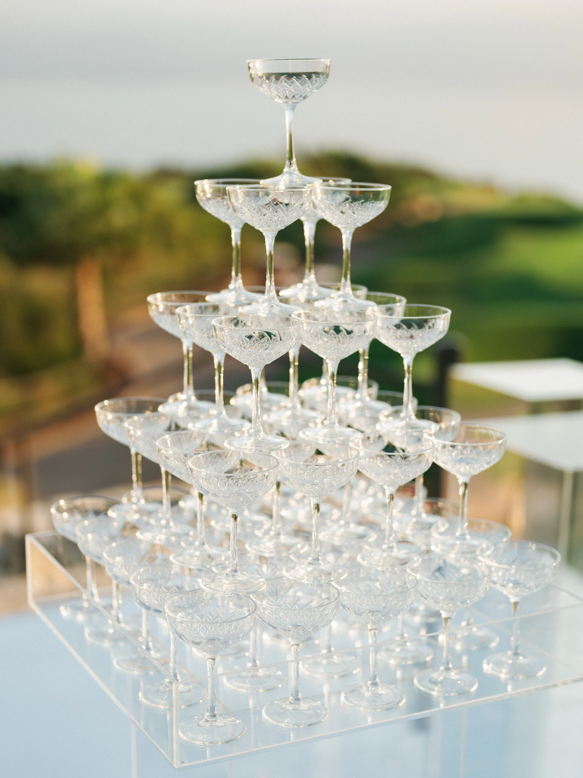 Arghavan & Sam — Wedding