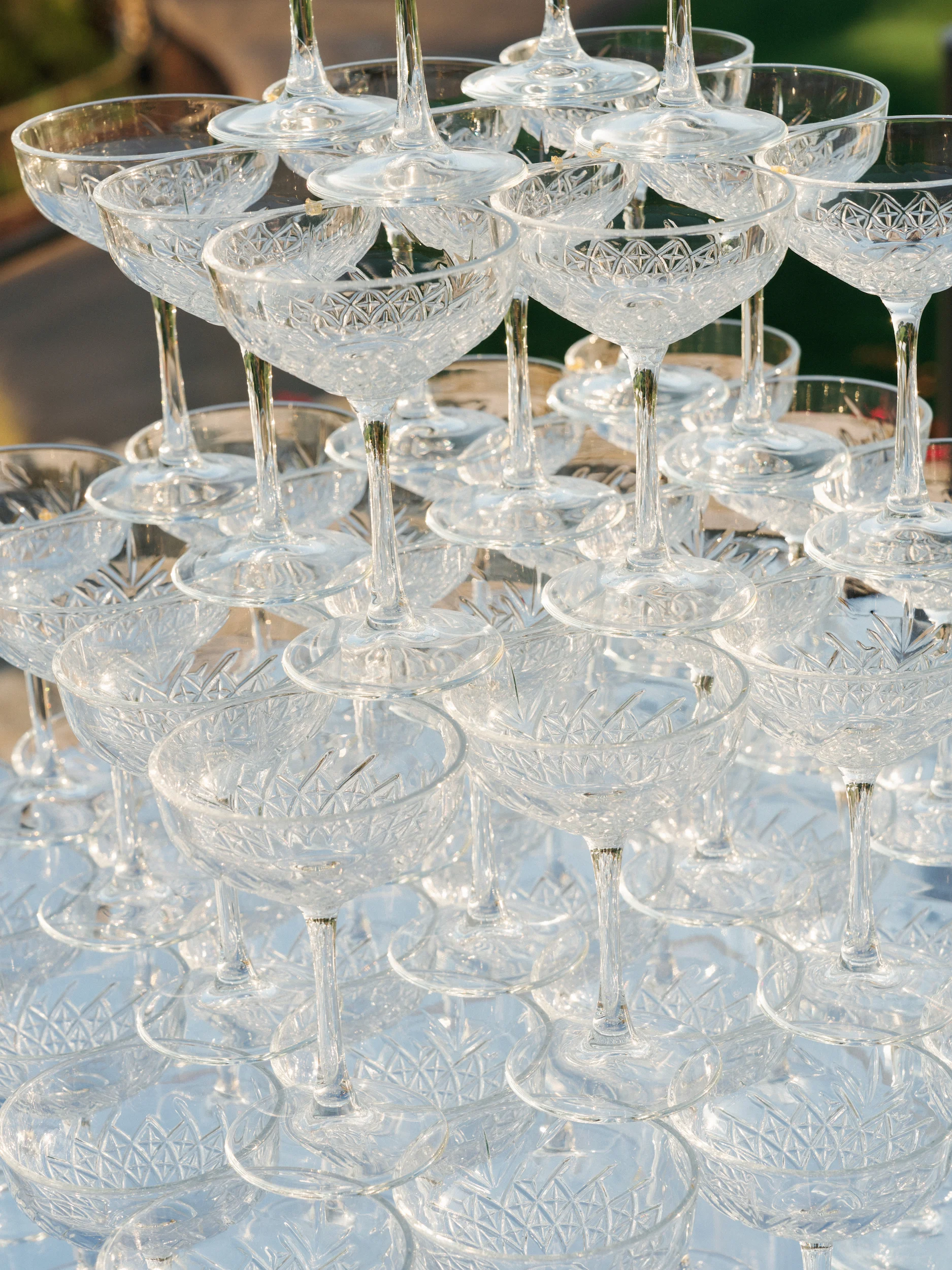 Arghavan & Sam — Wedding