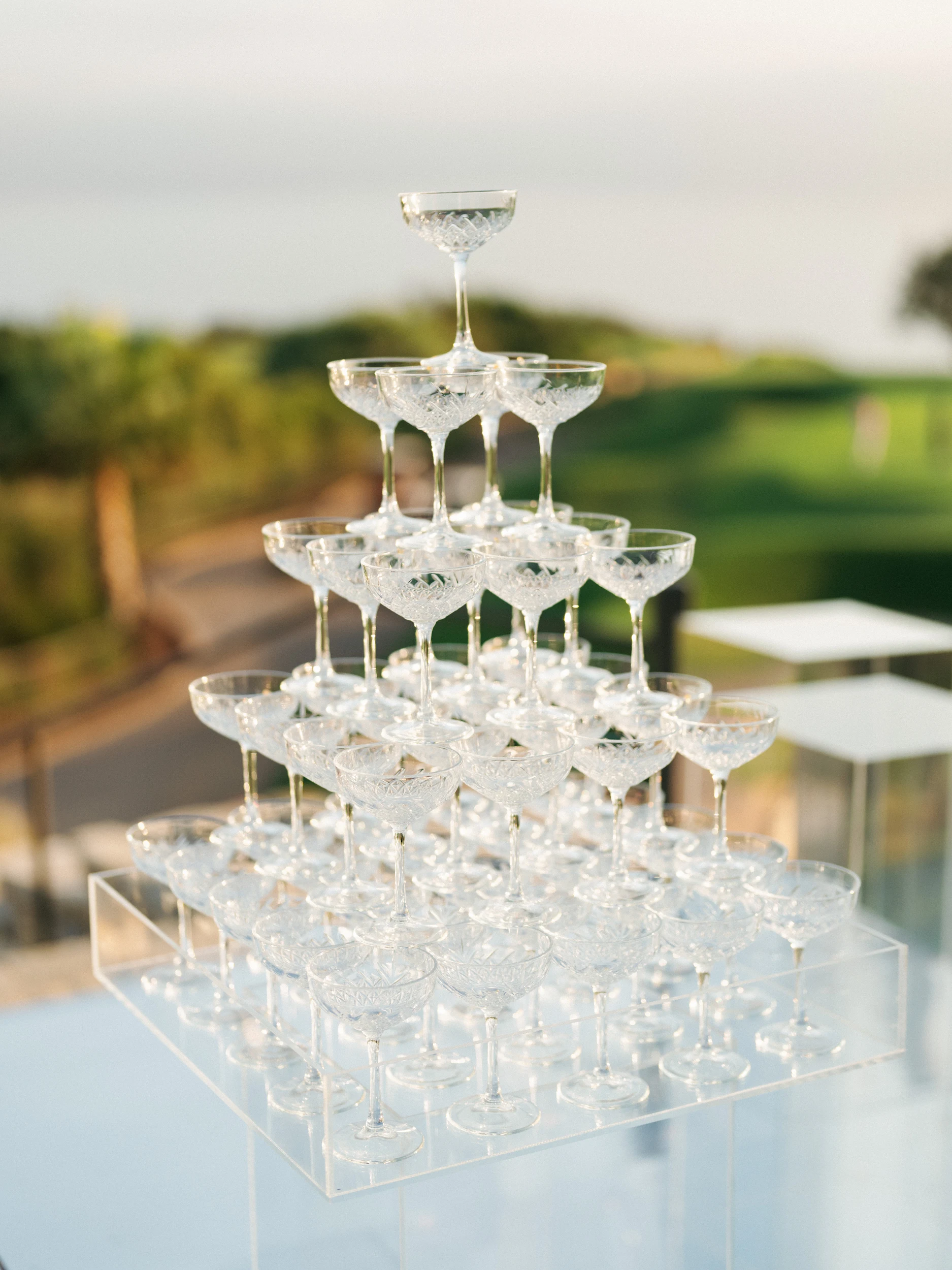 Arghavan & Sam — Wedding