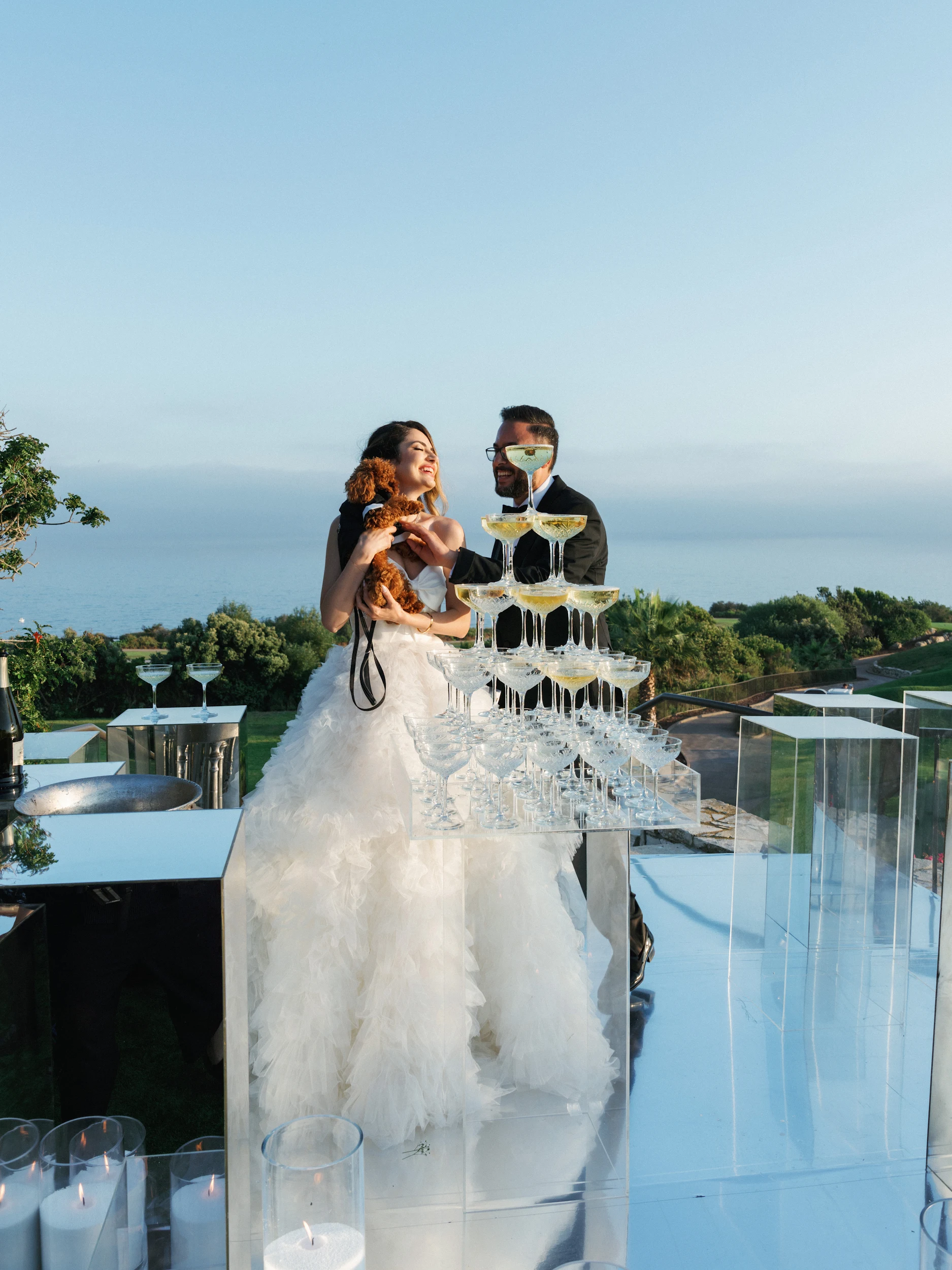 Arghavan & Sam — Wedding