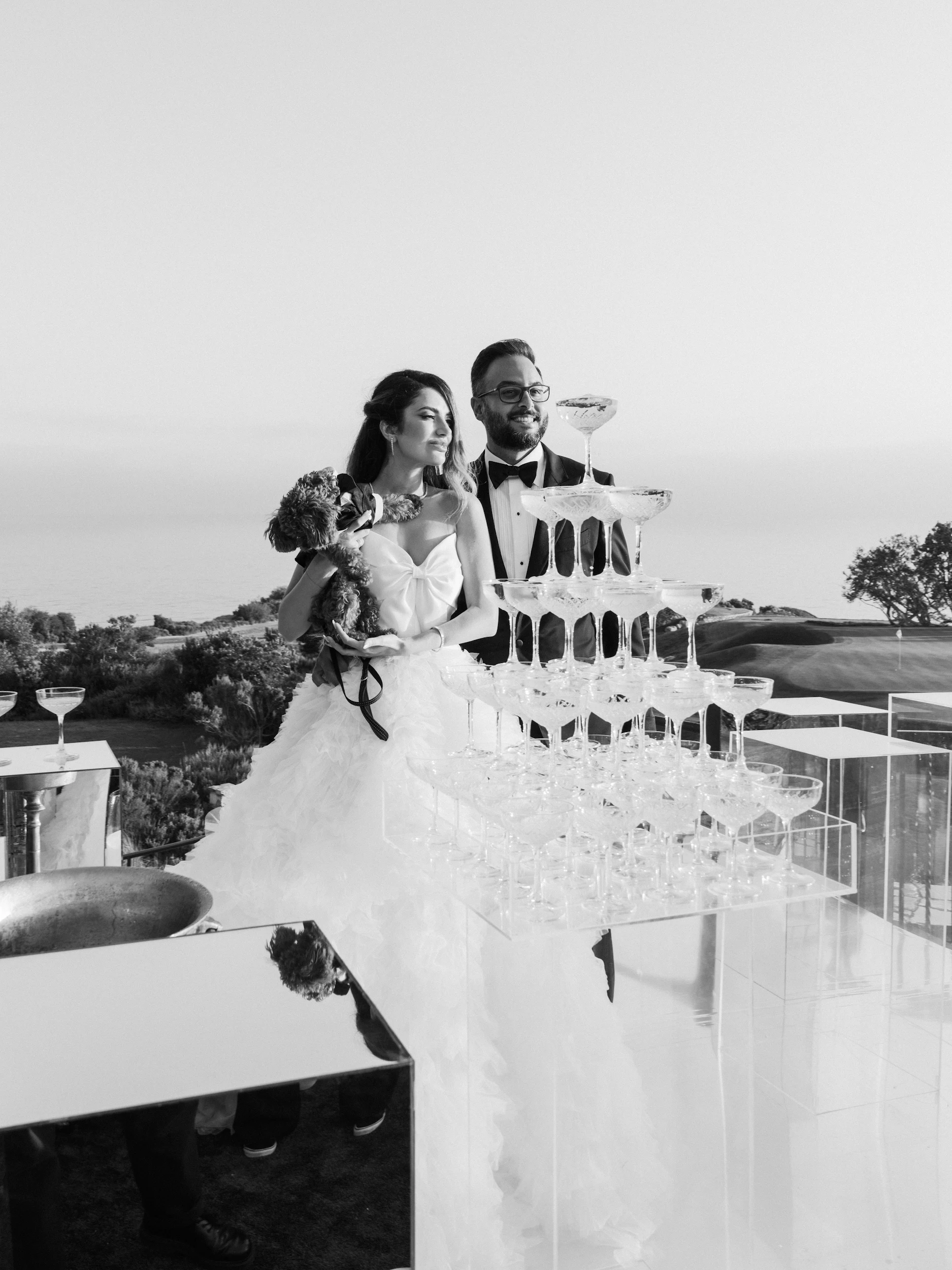 Arghavan & Sam — Wedding