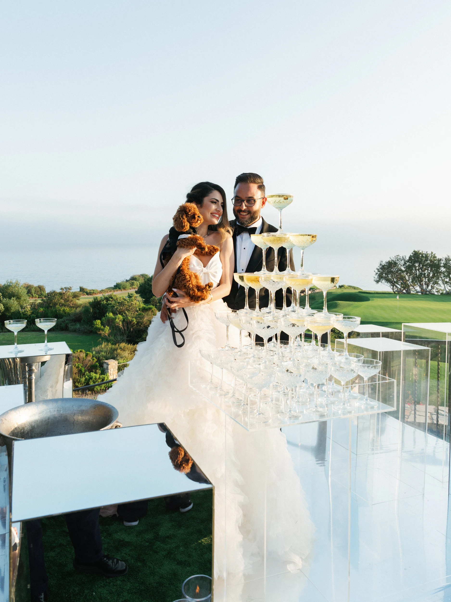 Arghavan & Sam — Wedding