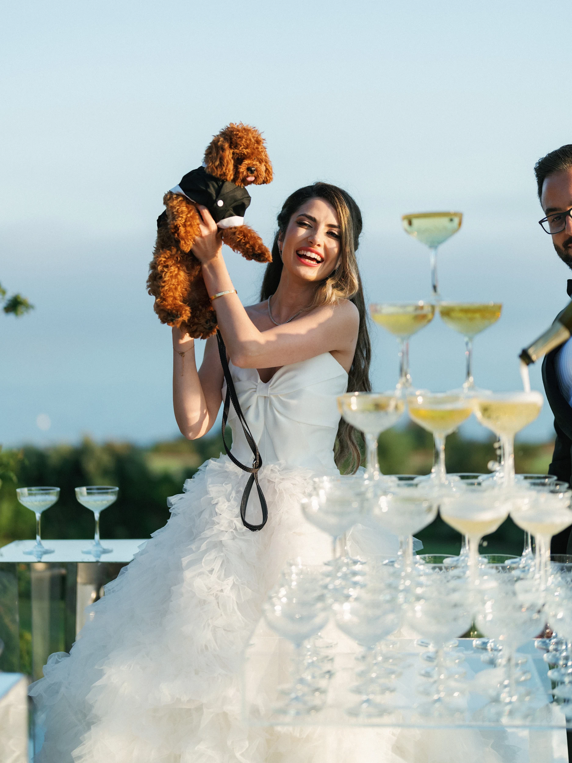 Arghavan & Sam — Wedding