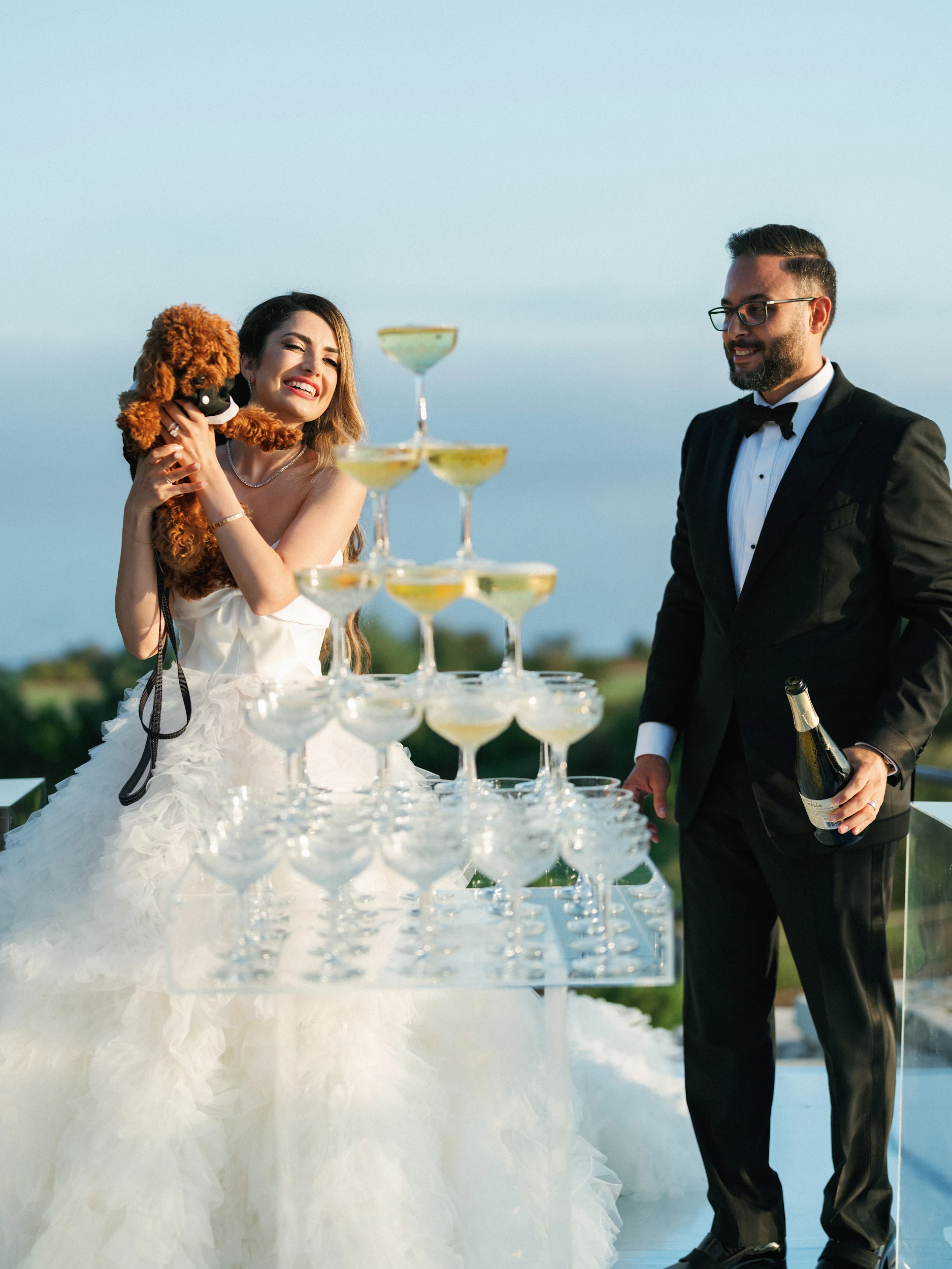 Arghavan & Sam — Wedding