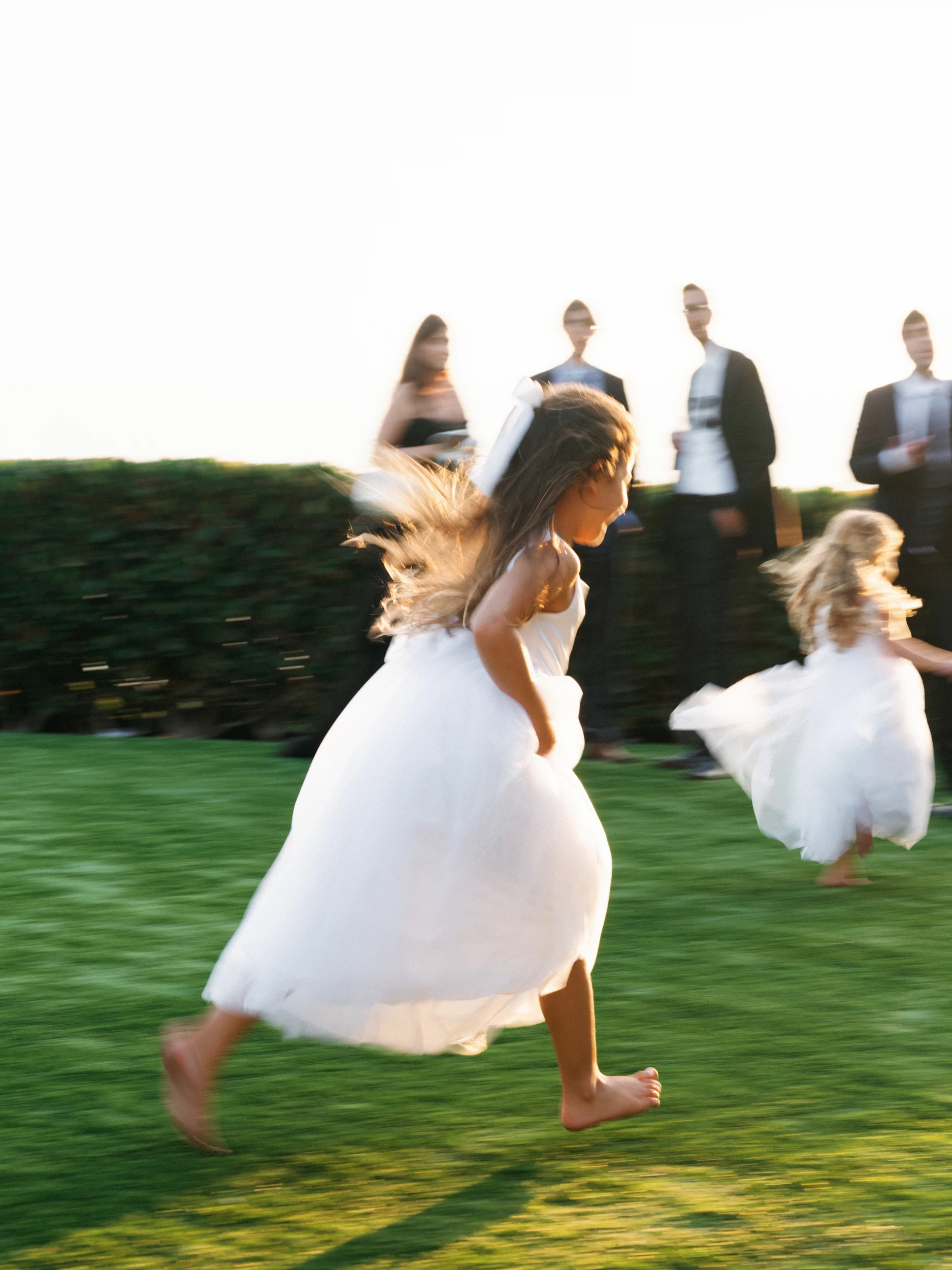 Arghavan & Sam — Wedding