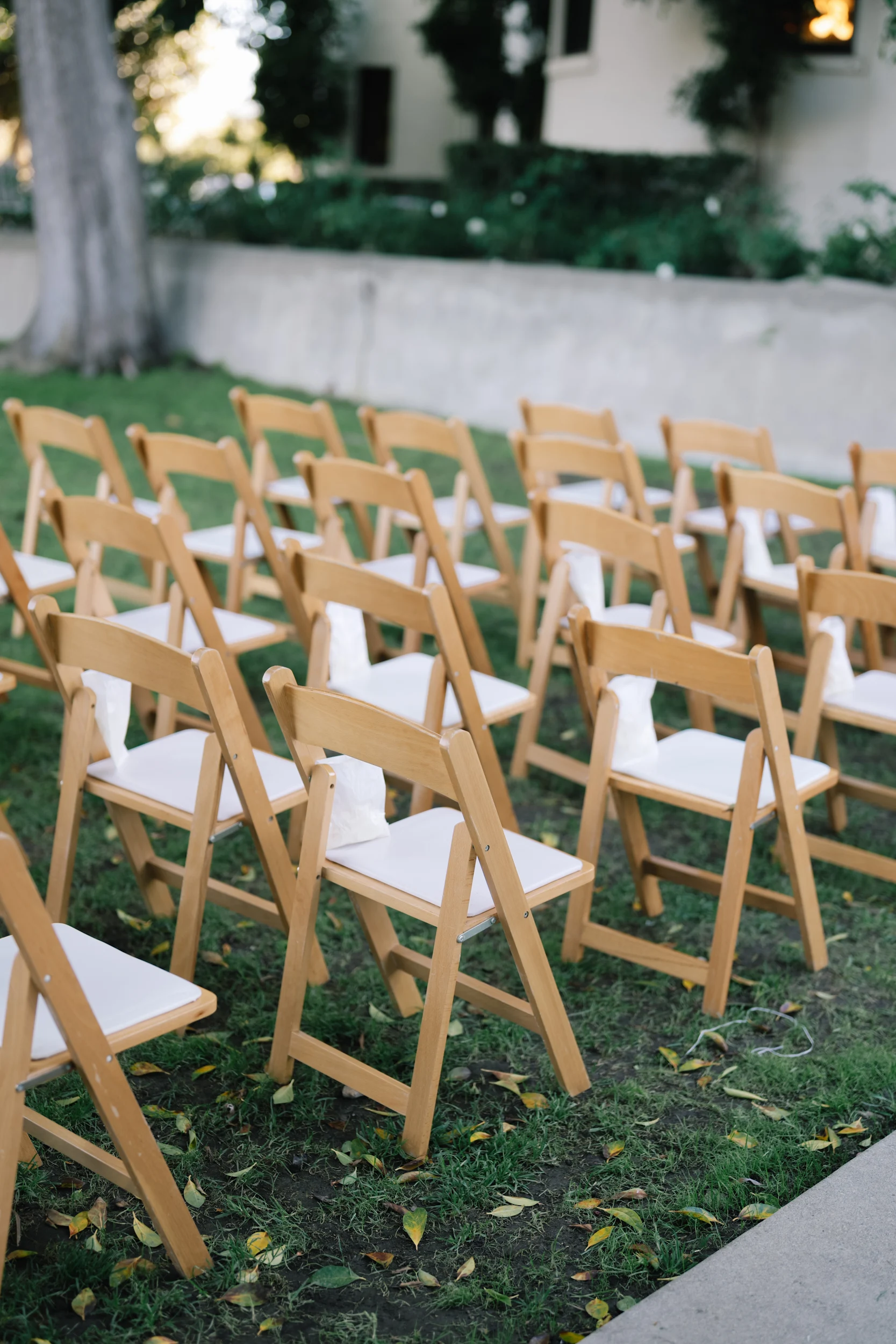 Jackie & Brandon — Wedding