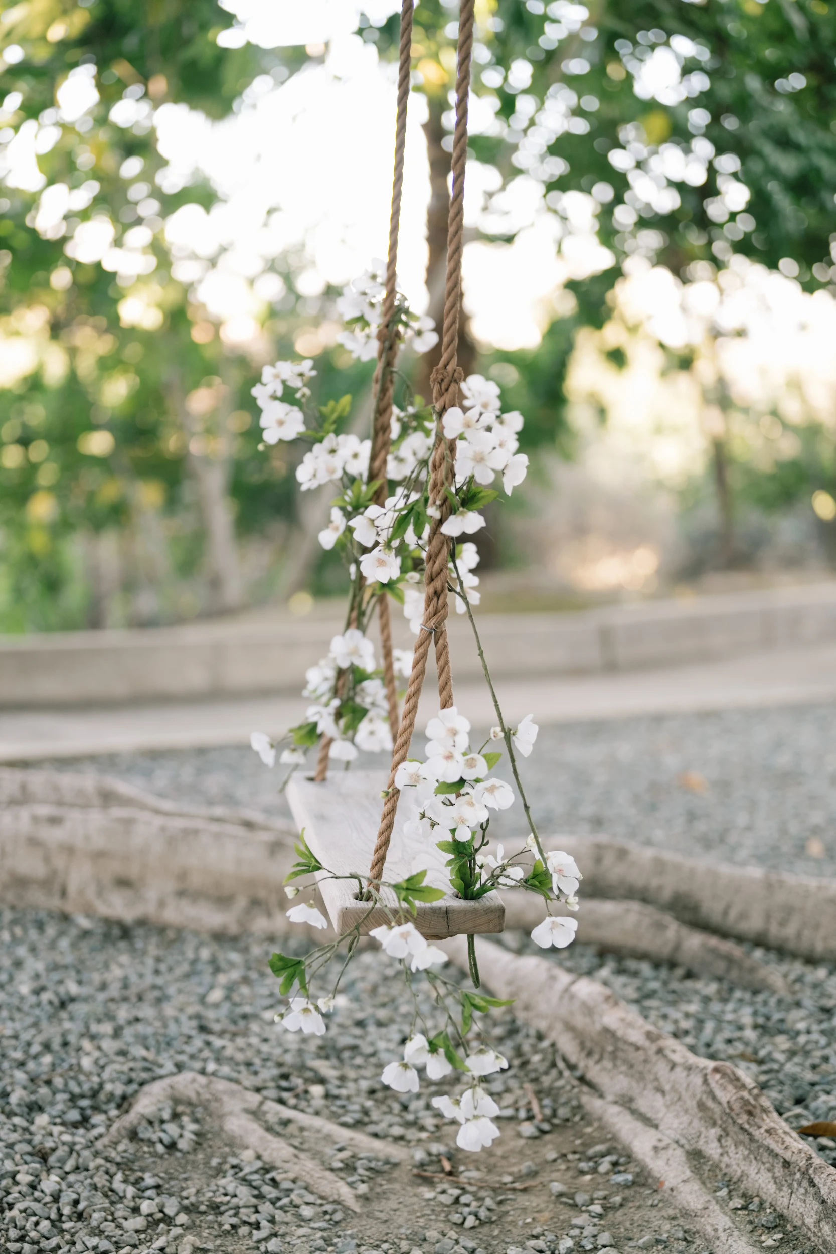Jackie & Brandon — Wedding