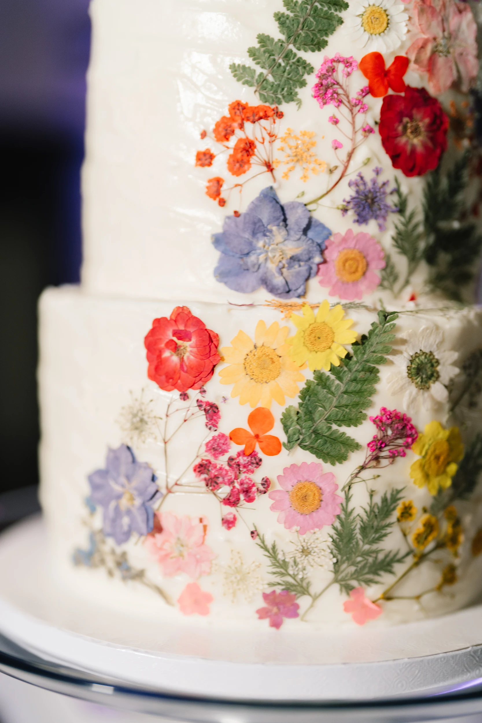 Jackie & Brandon — Wedding