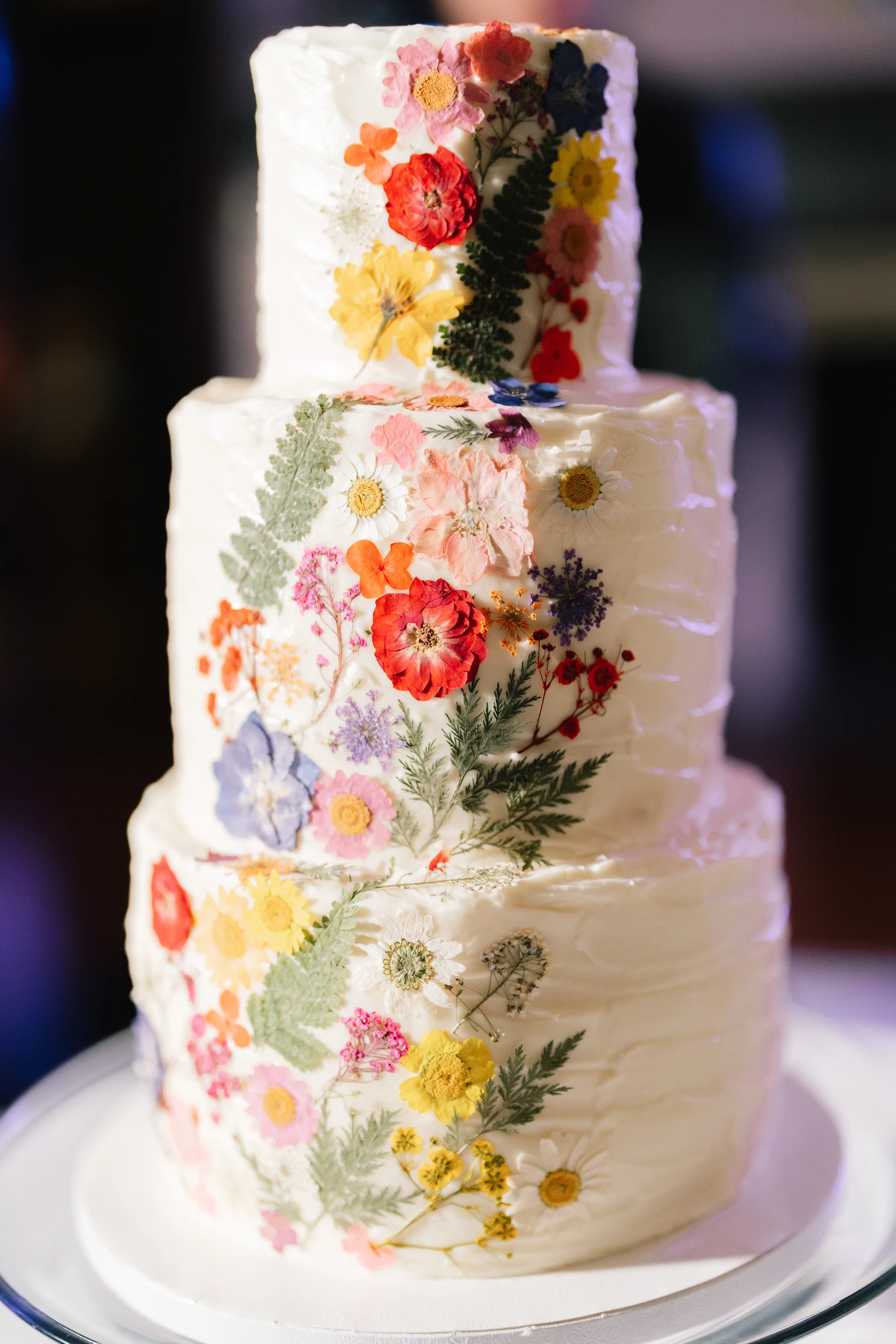 Jackie & Brandon — Wedding