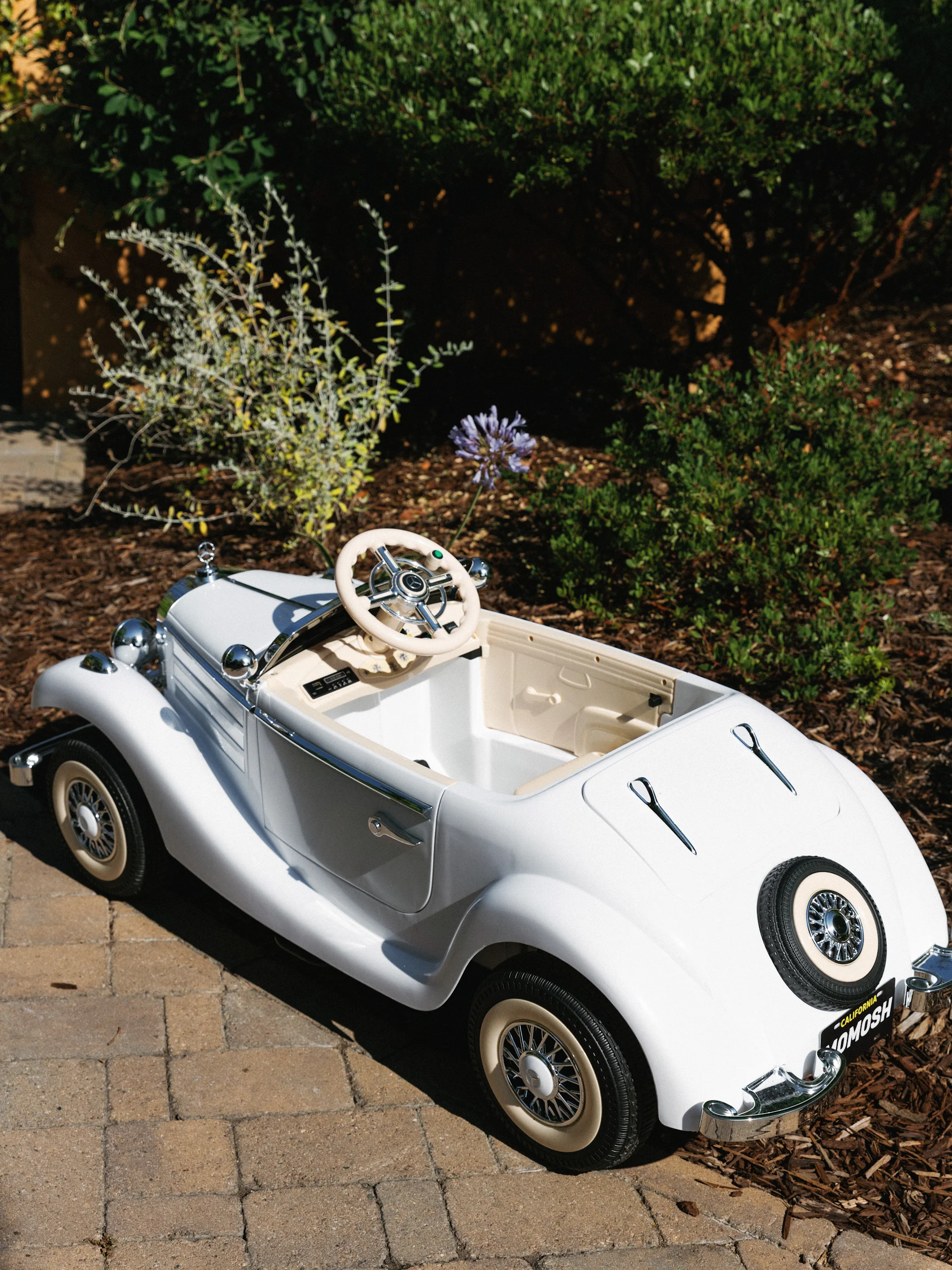 Anna-Maria & Ethan — Wedding