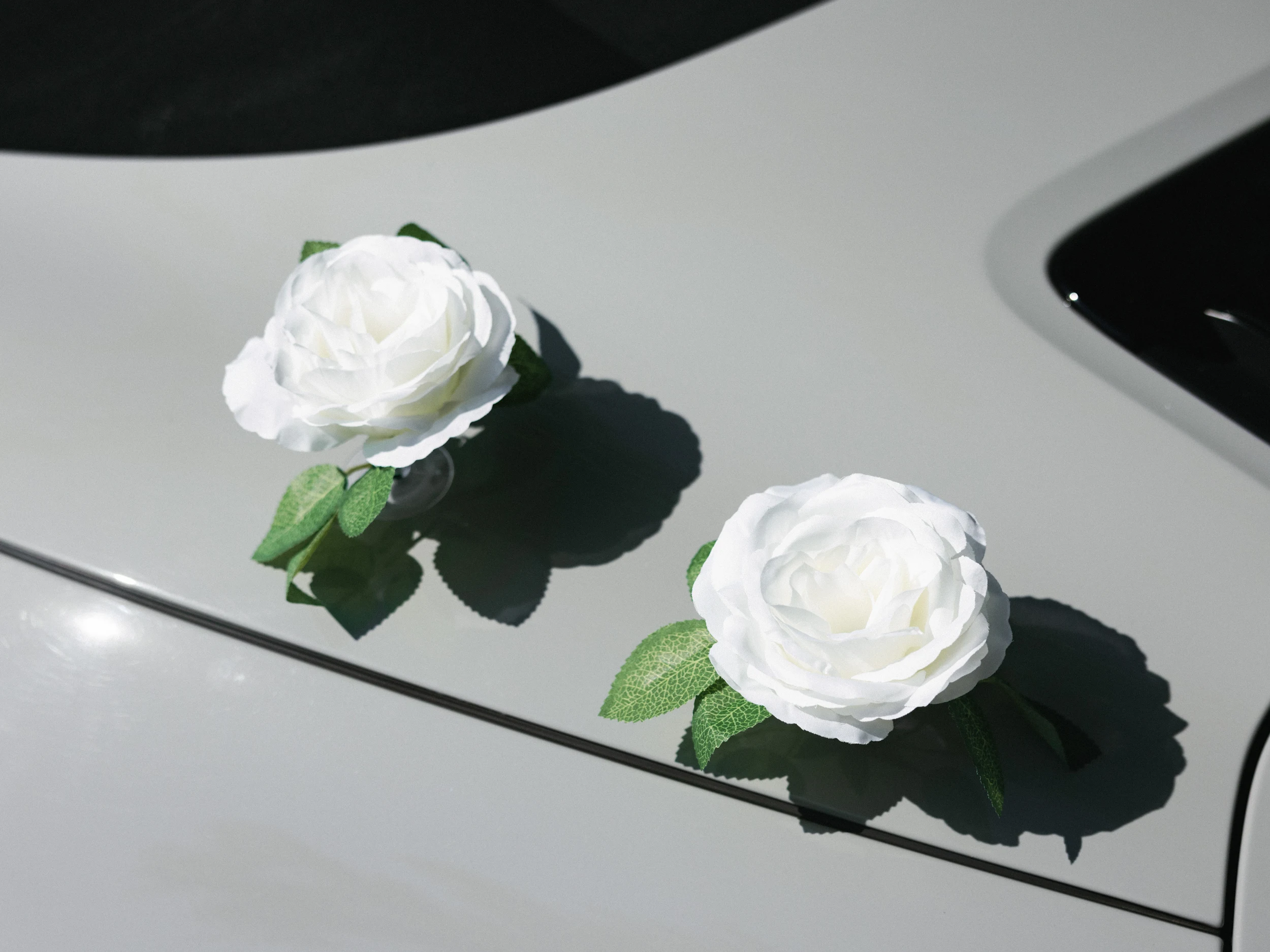Anna-Maria & Ethan — Wedding