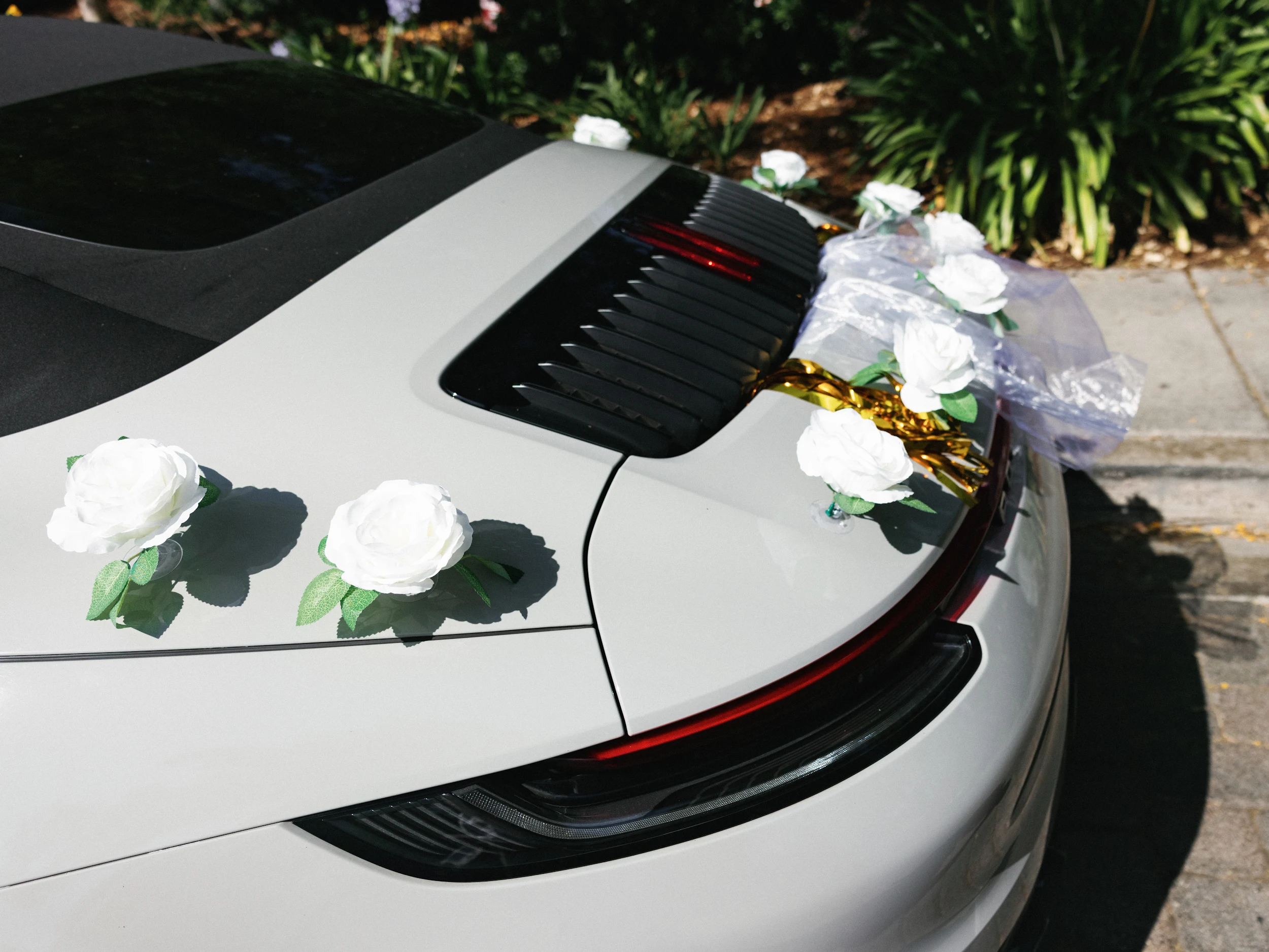 Anna-Maria & Ethan — Wedding