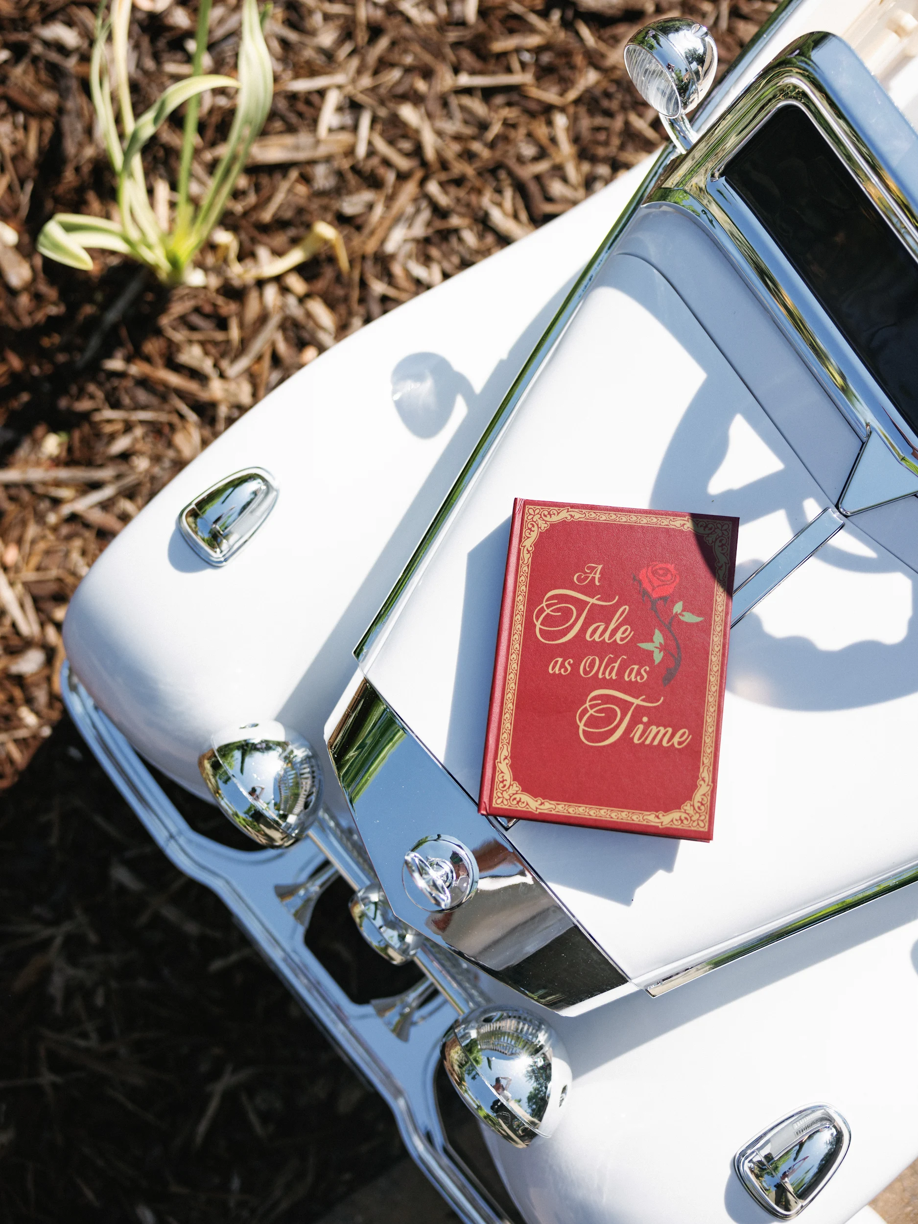 Anna-Maria & Ethan — Wedding